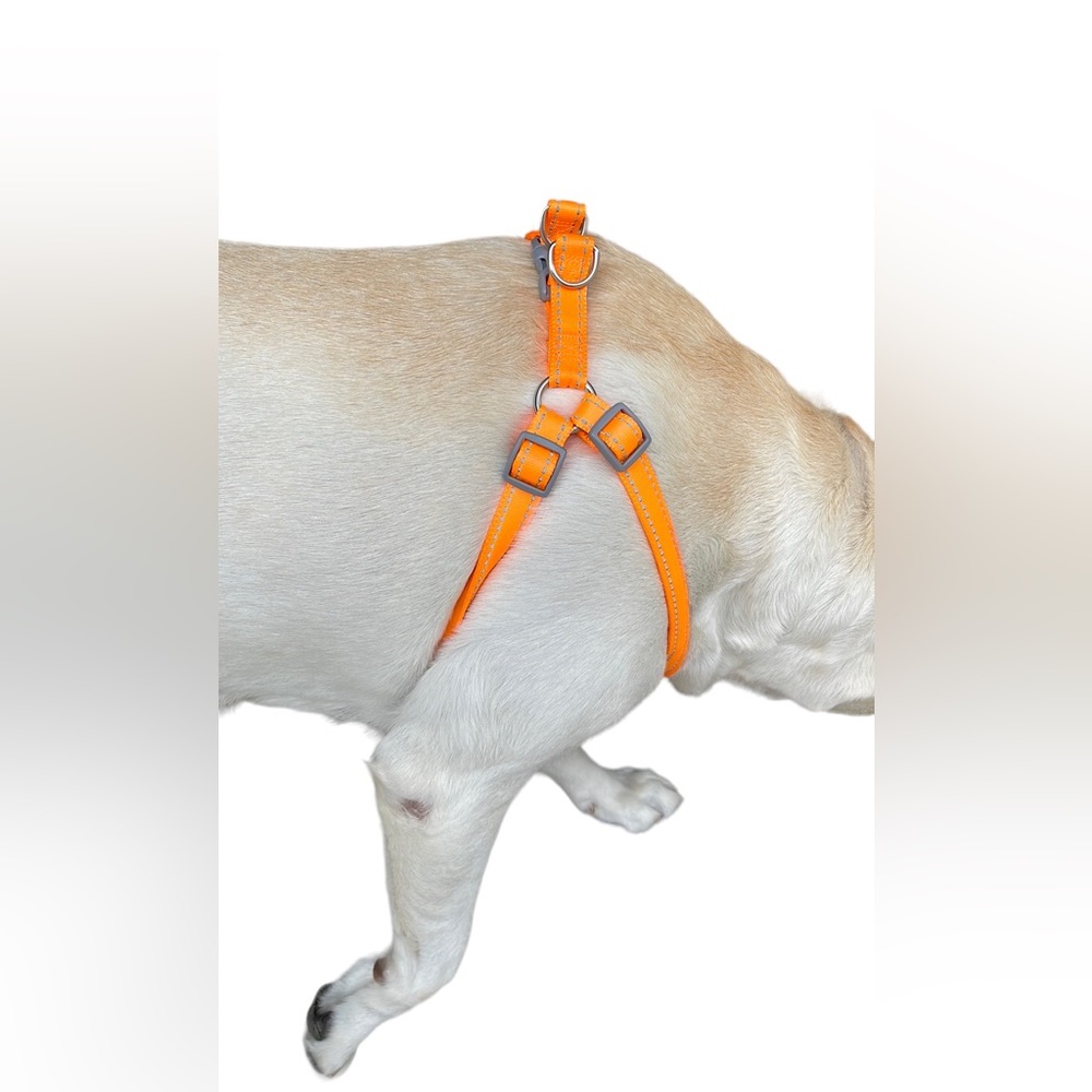 Large sport dog Harness 29” - Picture 6 of 9